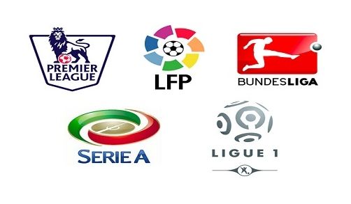 肢体的有效 肢体的有效